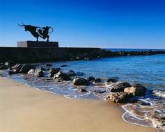 galleri (5)